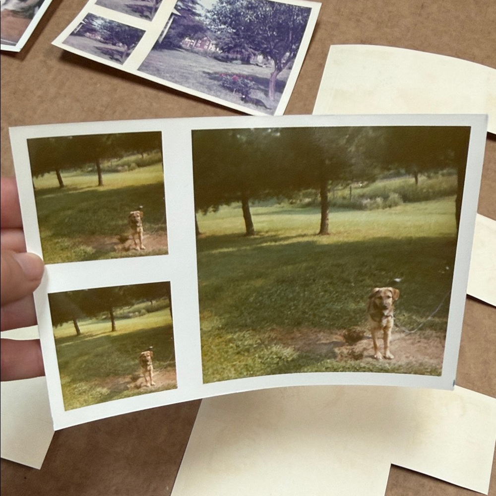 Vintage Photo Collection - Picture 6 of 11